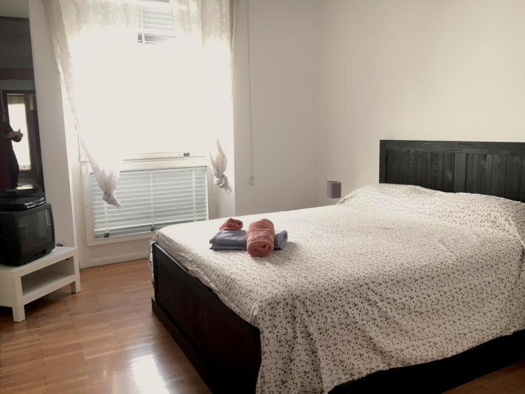 Santa Teresa 15\2 Apartman Torino Kültér fotó